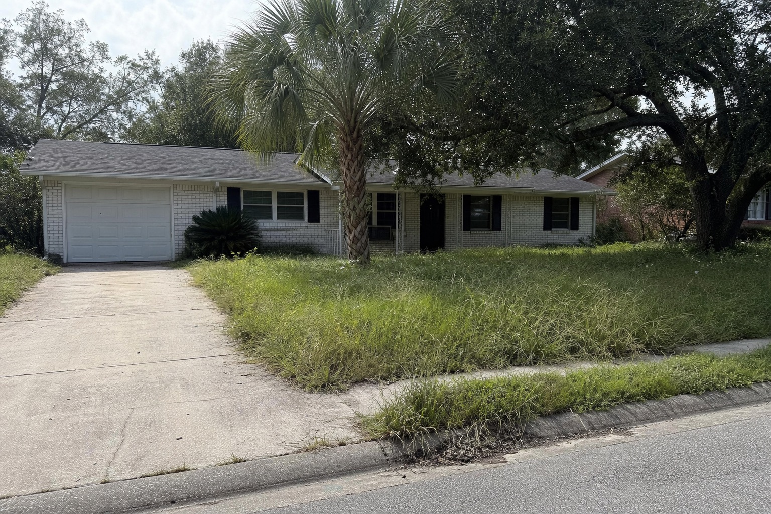A front yard before: overgrown grass and weeds spilling over the sidewalk